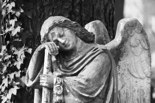 Skulptur eines nachdenklichen Engels mit gefalteten Händen, umgeben von Efeu und einer Baumrinde im Hintergrund.